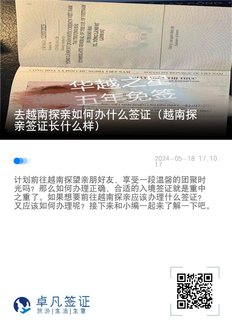 去越南探亲如何办什么签证（越南探亲签证长什么样）