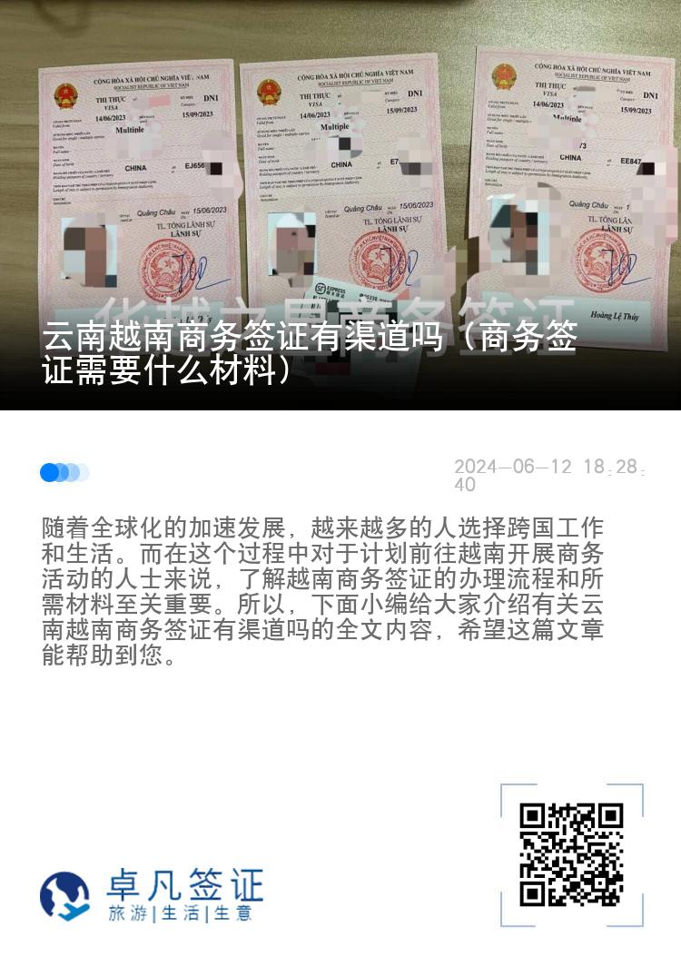 云南越南商务签证有渠道吗（商务签证需要什么材料）