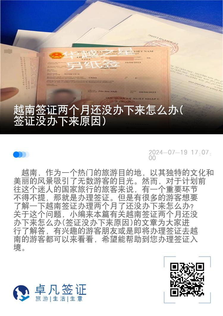 越南签证两个月还没办下来怎么办(签证没办下来原因)