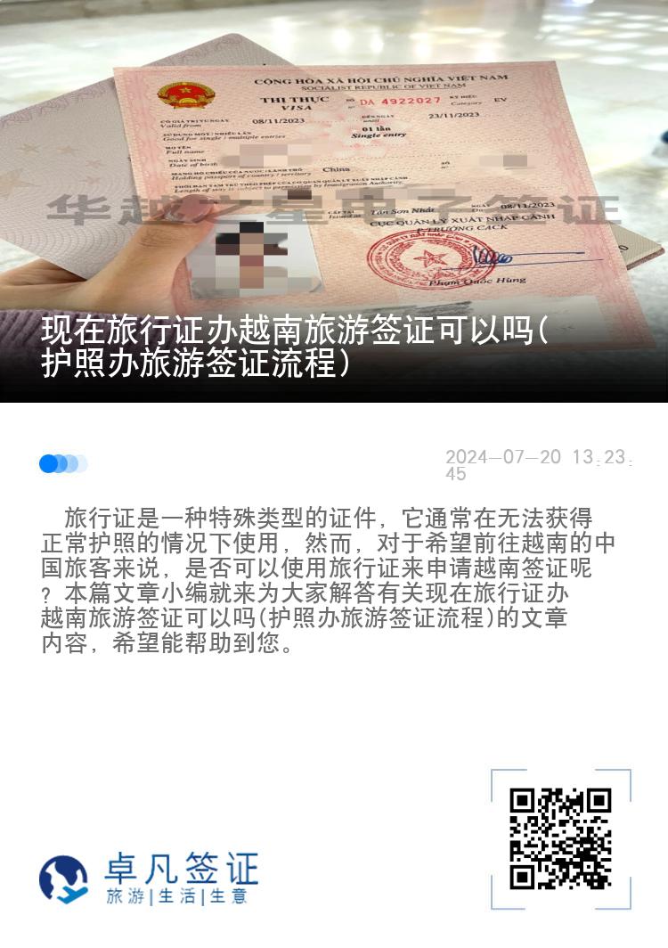 现在旅行证办越南旅游签证可以吗(护照办旅游签证流程)