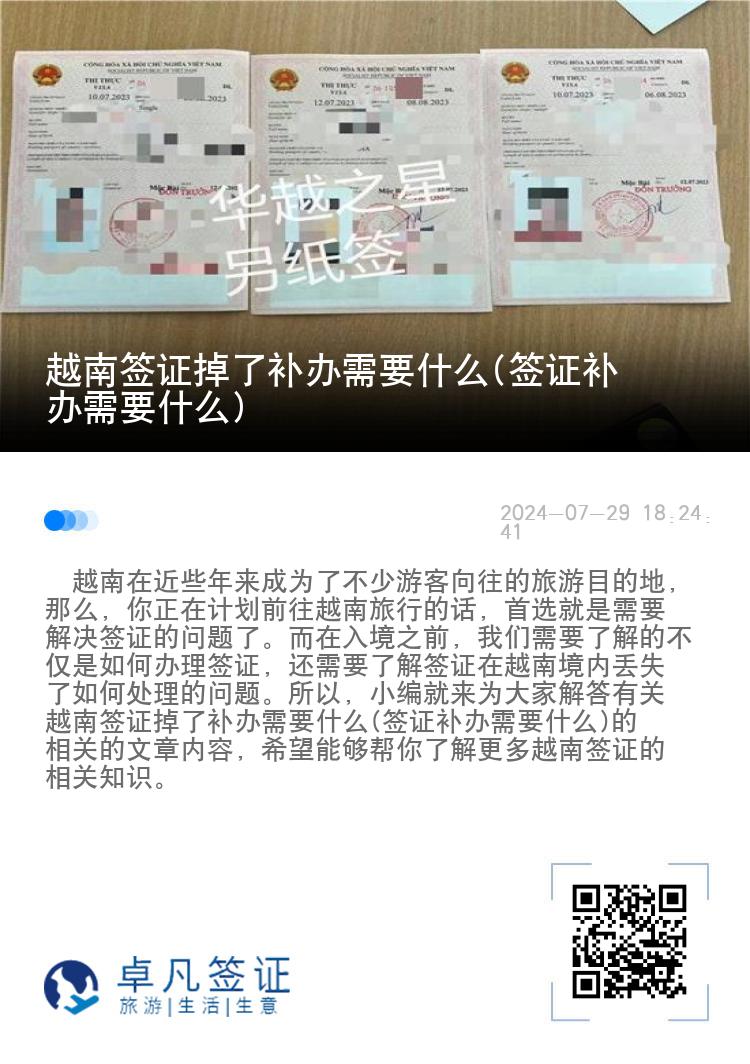 越南签证掉了补办需要什么(签证补办需要什么)