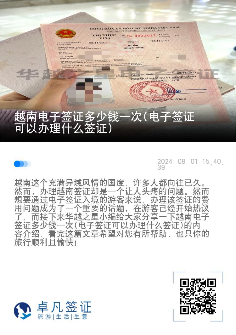 越南电子签证多少钱一次(电子签证可以办理什么签证)