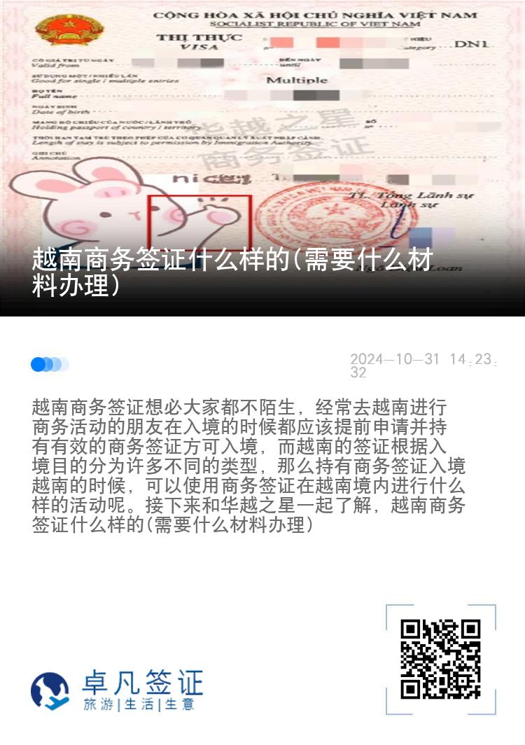 越南商务签证什么样的(需要什么材料办理)