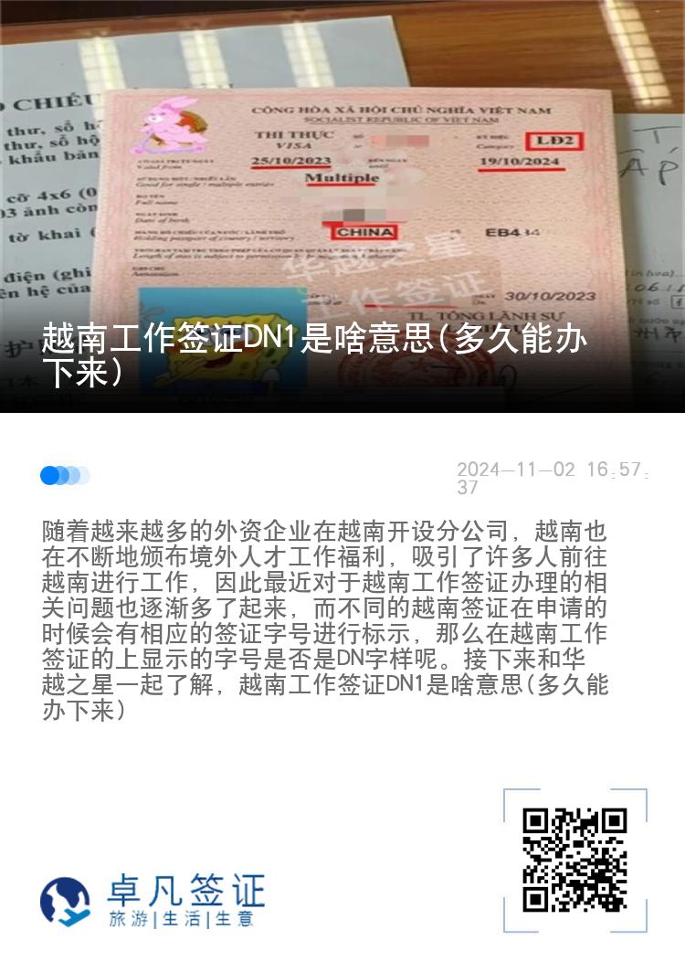 越南工作签证DN1是啥意思(多久能办下来)