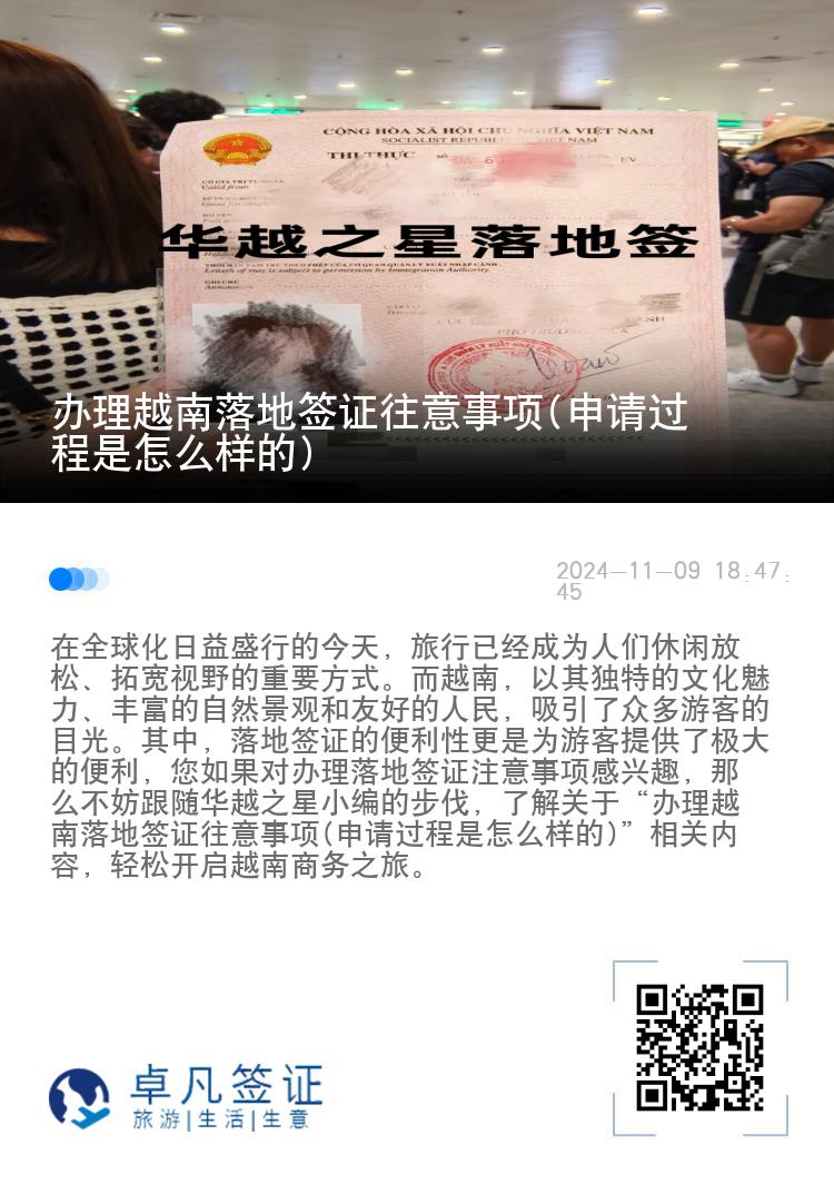 办理越南落地签证往意事项(申请过程是怎么样的)