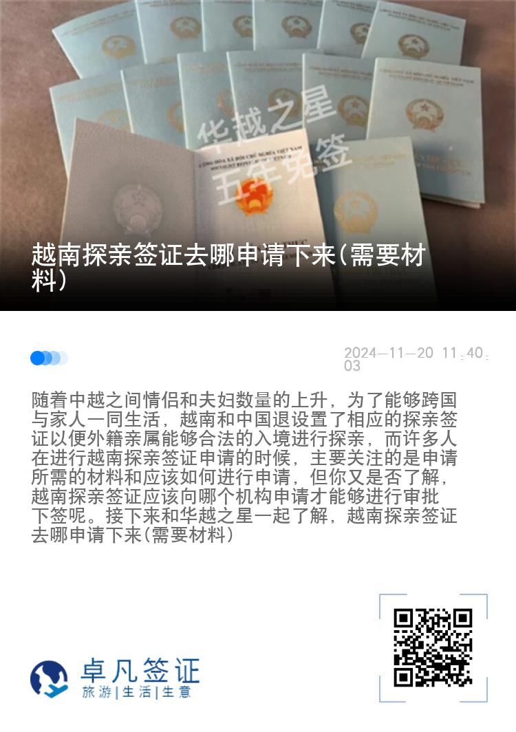 越南探亲签证去哪申请下来(需要材料)