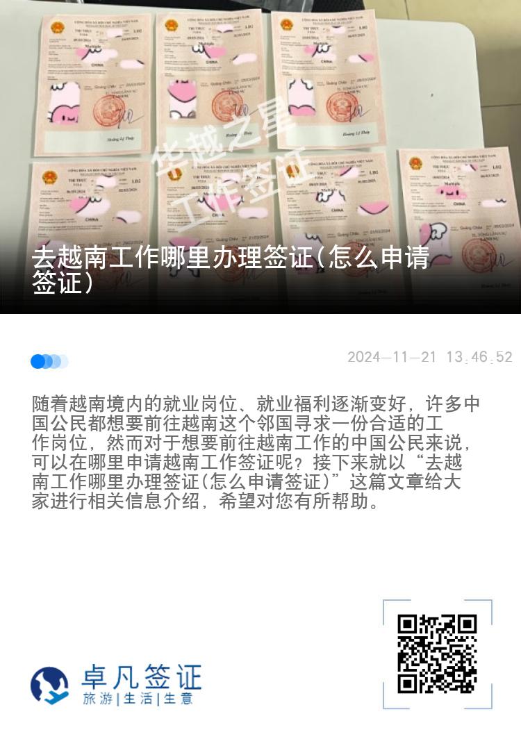 去越南工作哪里办理签证(怎么申请签证)