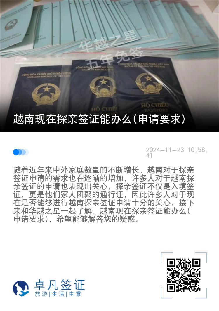 越南现在探亲签证能办么(申请要求)